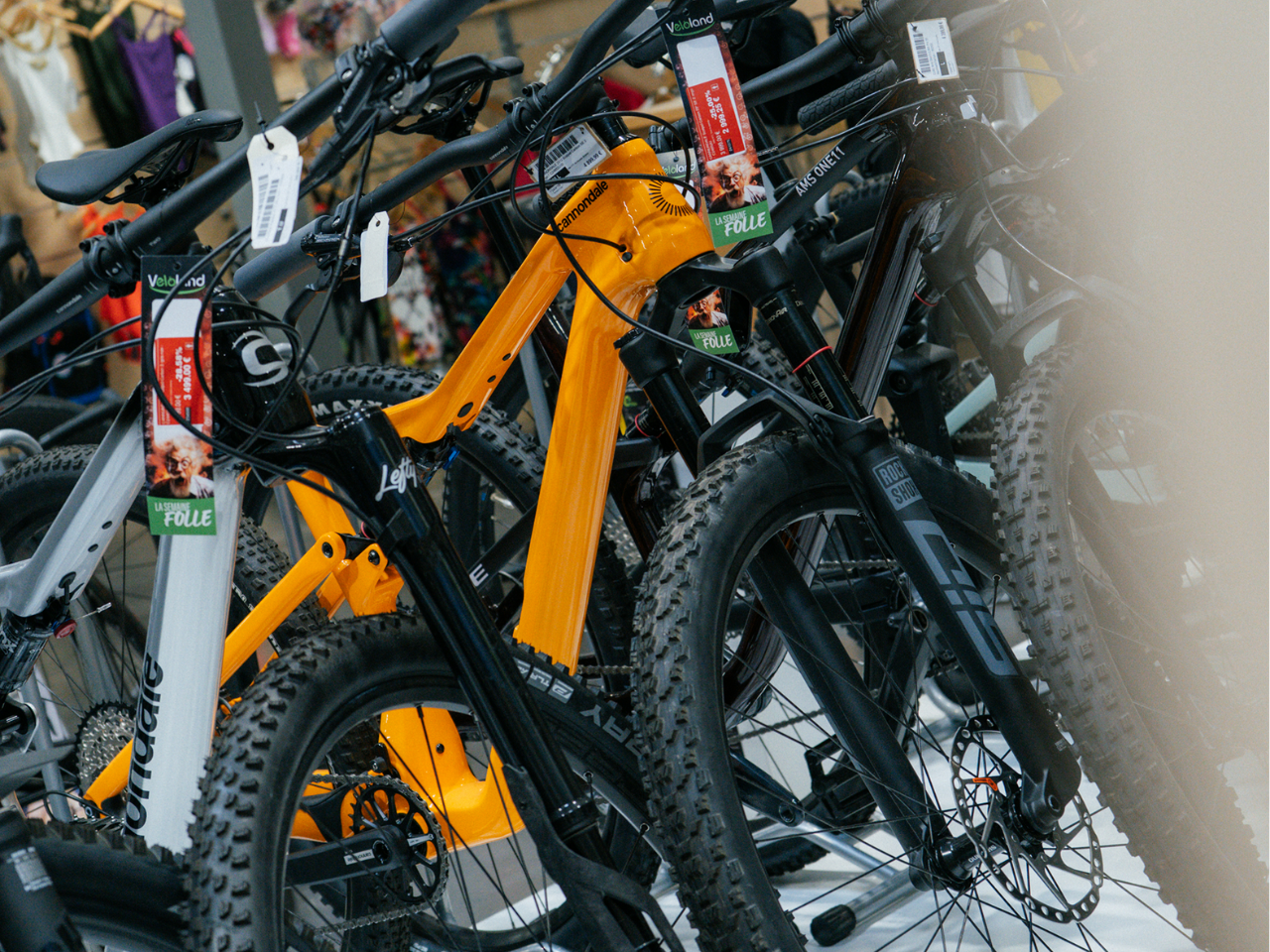  Worden magasin de vélo à La ravoire Véloland Chambéry